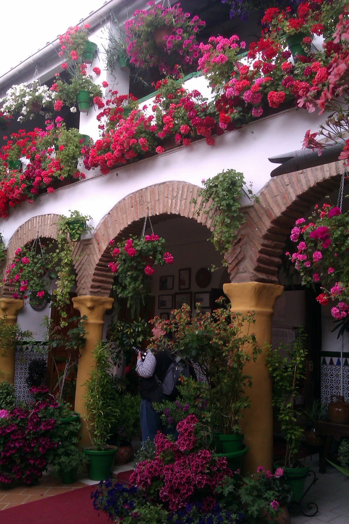 Galería de arcos de un patio cordobés con geranios colgados